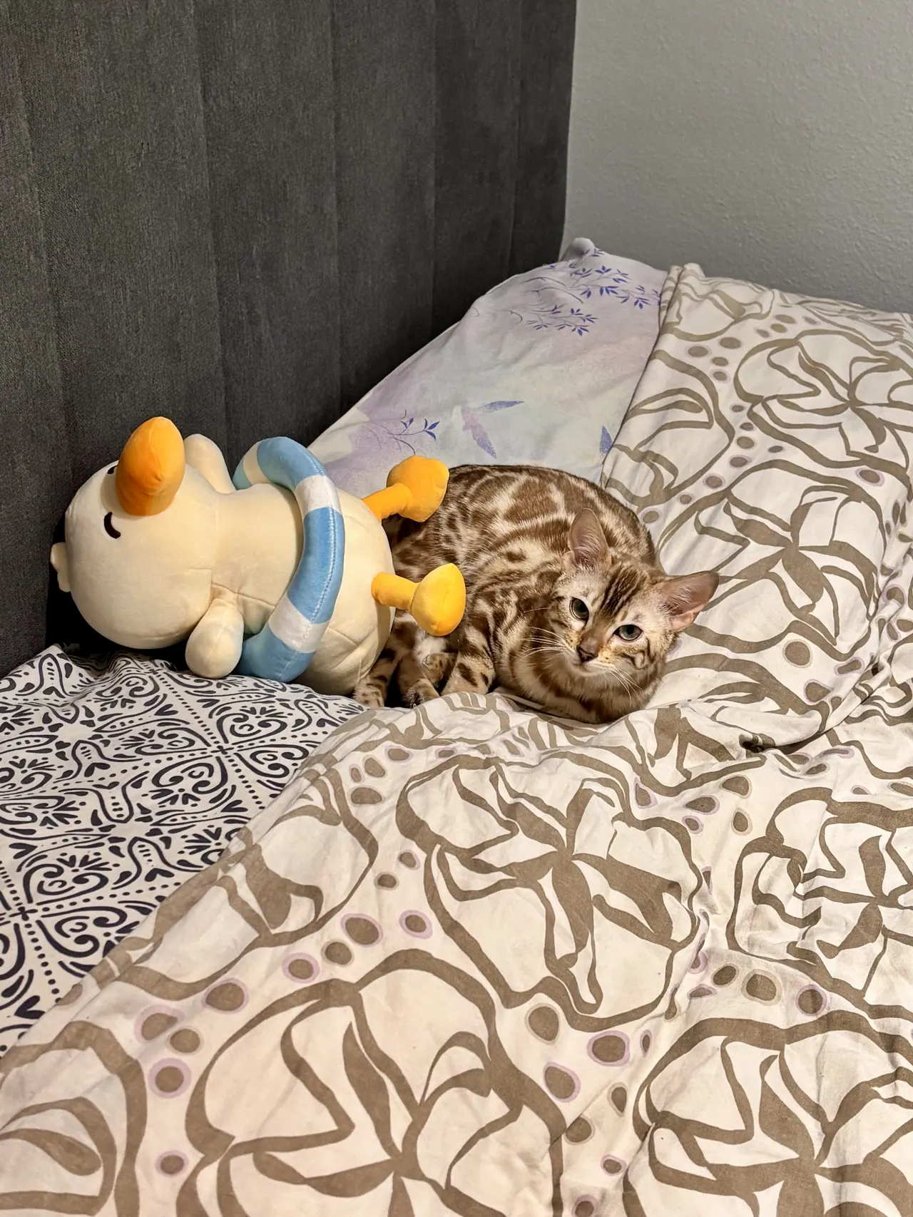 Bambi au repos sur un lit, à côté d’une peluche